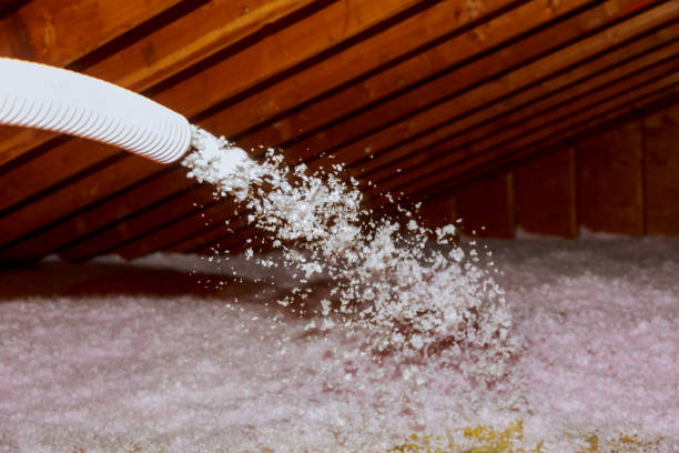  Pasadena, TX Insulation Contractor Pros