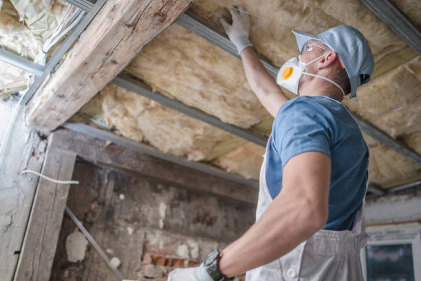 Best Fiberglass Insulation in Pasadena, TX