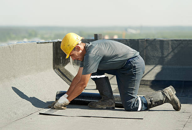 Best Spray Foam Insulation in Pasadena, TX