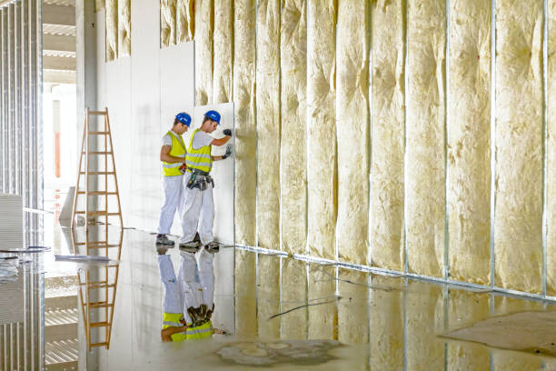 Trusted Pasadena, TX Insulation Contractor Experts